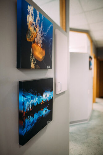 Wall-mounted artwork inside the Travelle Family Dentistry office in Burien, WA